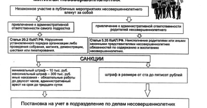 об участии несовершеннолетних в не санкционированных митингах - фото - 1