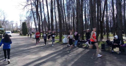 легкоатлетический кросс - фото - 1